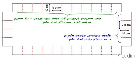 שקופית3