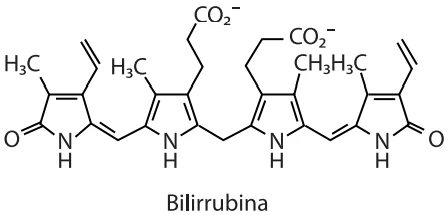 Bilirrubina