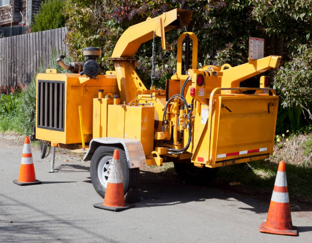 Wood Chippers to Rent