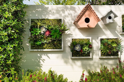 Front Wall Garden of the House