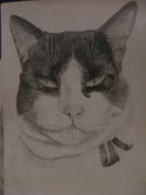 Dibujos en Lapiz img 
