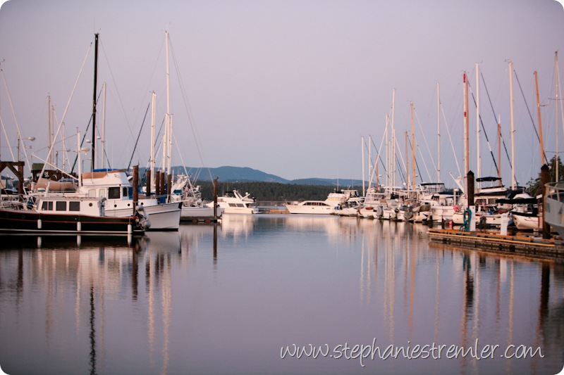 SanJuanIslandPhotographerWildlifeLandscape-108