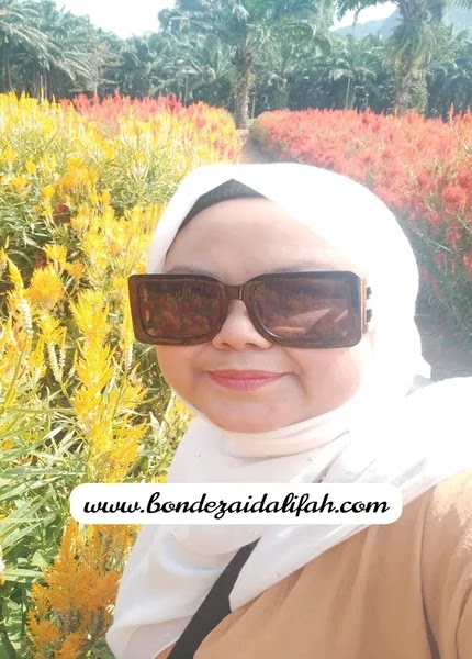 Bonde Zaidalifah: The Joyful Writer - Blogger Berbakat Bercerita Pengalaman Menerusi Blogging