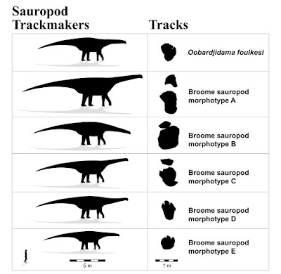 Resultado de imagen de saurópodos huellas