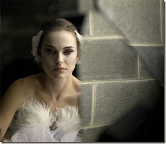 blackswan_8