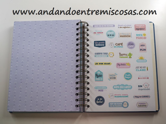 Agenda Mr. Wonderful 2018-2019