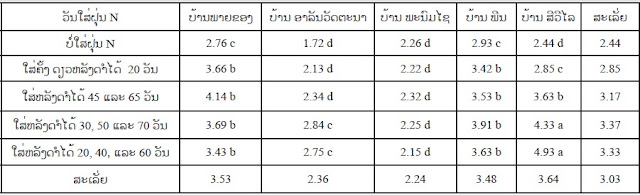 ຜະລິດຕະພາບເຂົ້າຂອງບັນດາຈຸດທົດລອງທີ່ສຶກສາໄລຍະໃສ່ຝຸ່ນ (N) ແລະ ການສຳພັນຂອງມັນ (ປະລິມານຝຸ່ນເລັ່ງທີ່ໃສ່ແມ່ນ 3 ເປ້ົາຕໍ່ເຮັກຕາ)