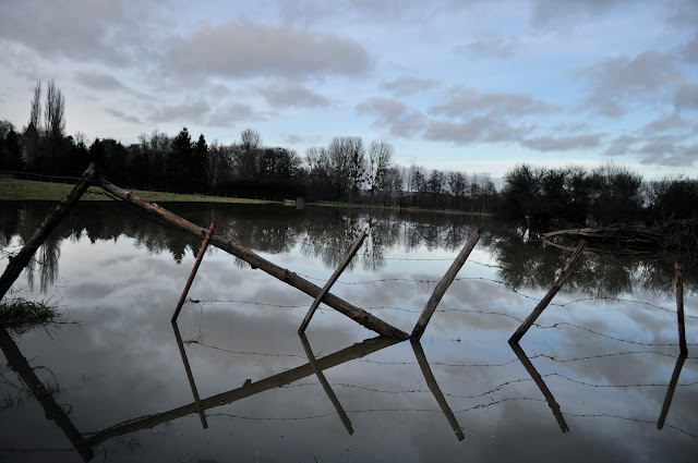 Country, water, flooding, perche, wood