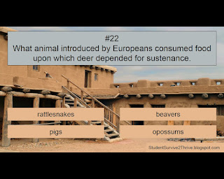 What animal introduced by Europeans consumed food upon which deer depended for sustenance. Answer choices include: rattlesnakes, beavers, pigs, opossums