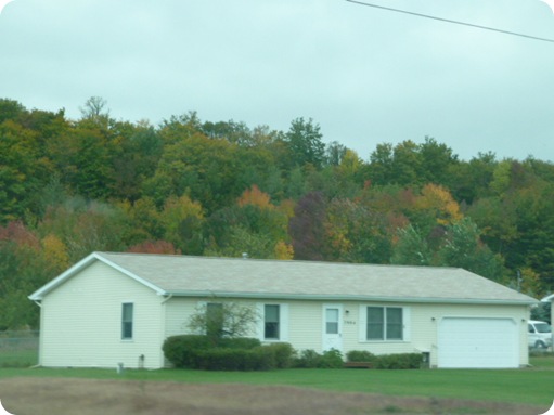 Burt Lake State Park 193