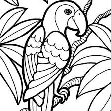 Wild Parrot In Jungle Animals Coloring Sheet Download