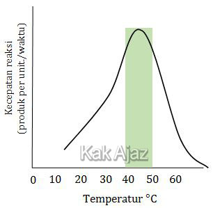 Temperatur/suhu optimum kerja enzim