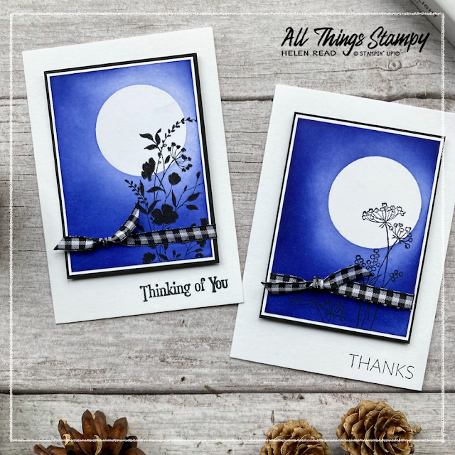 Stampin Up Blending Brushes Dainty Delight card ideas