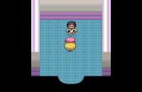 Pokemon Nobelium Screenshot 08