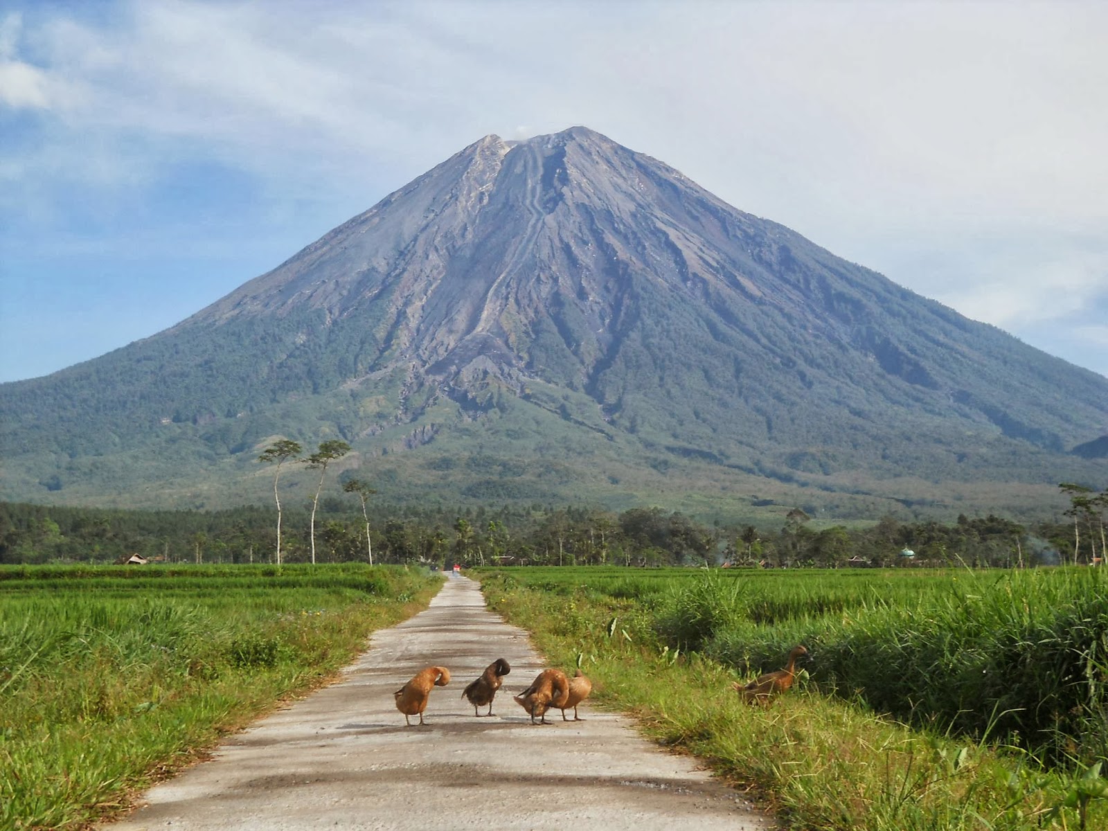 Kenampakan Alam dan Kenampakan Buatan di  Indonesia  Tinta 