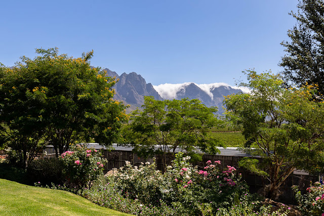 Jason's Hill Private Cellar Slanghoek Valley