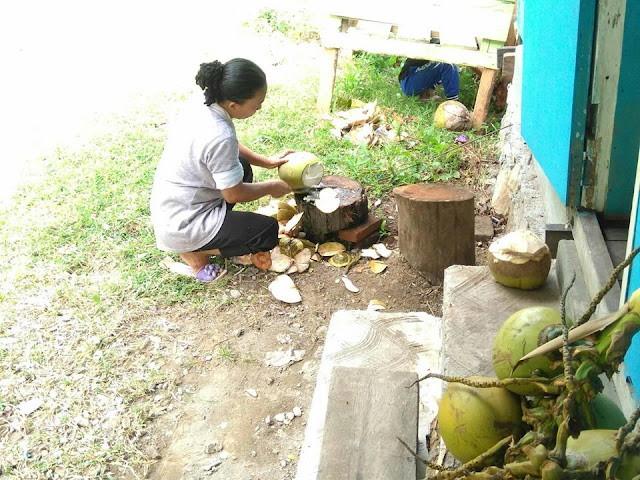 perempuan apoang sendana membuka kelapa muda