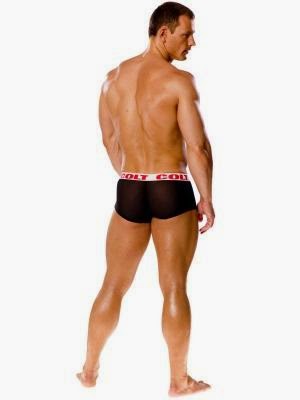 Cool4Guys COLT Underwear Mesh Brief Back