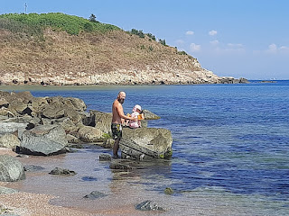 Rosie sat on a stone