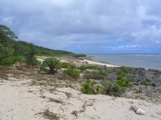 CIMG6278