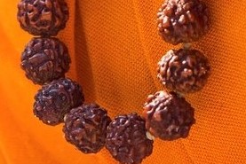 Benefits of wearing Rudraksha in Hindi