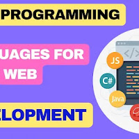 Top Programming Languages for Modern Web Development