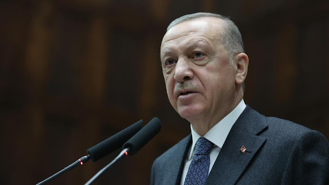 Erdogan: Türkiye working to ensure border security, regional stability