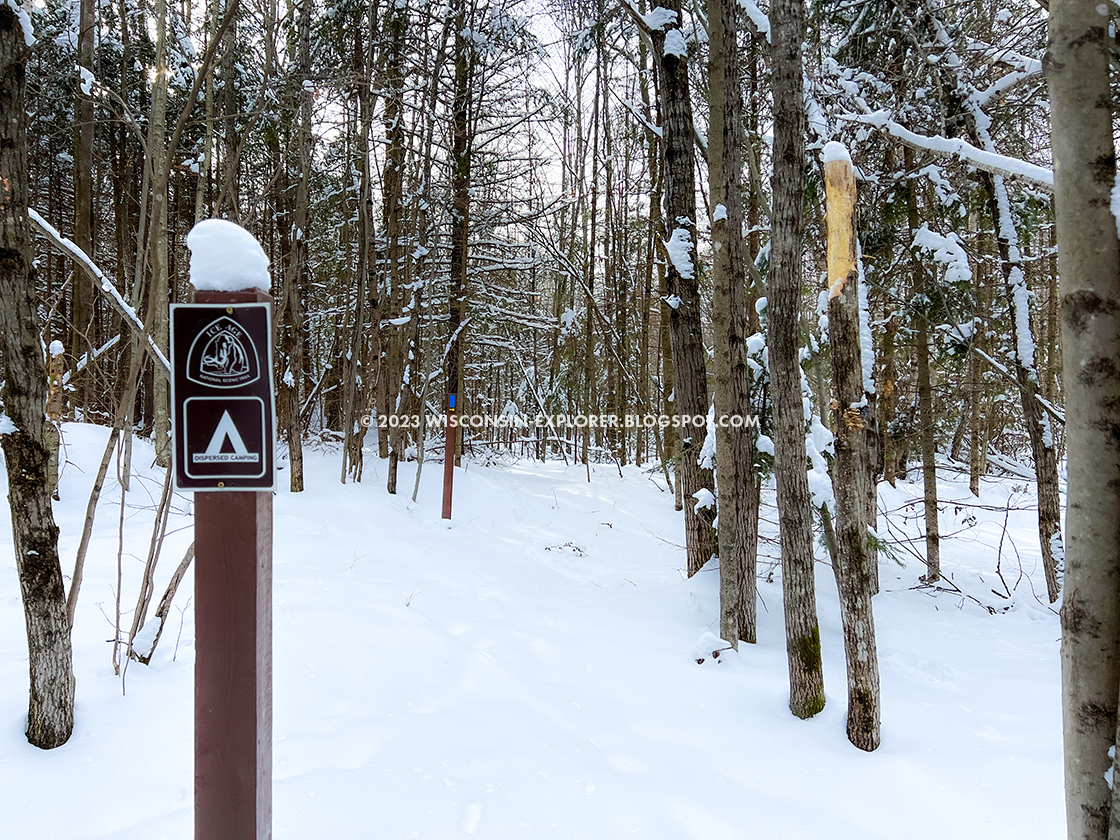 snow covered forest and trail