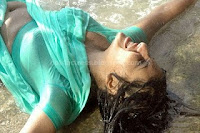 Monica, in, blue, wet, saree, hot