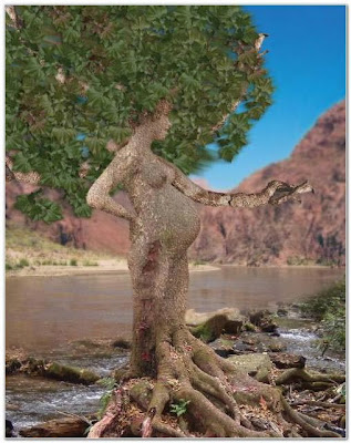 Tree That Looks Like A Woman