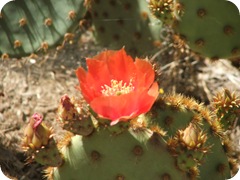 moms camera 078