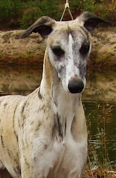 Remo