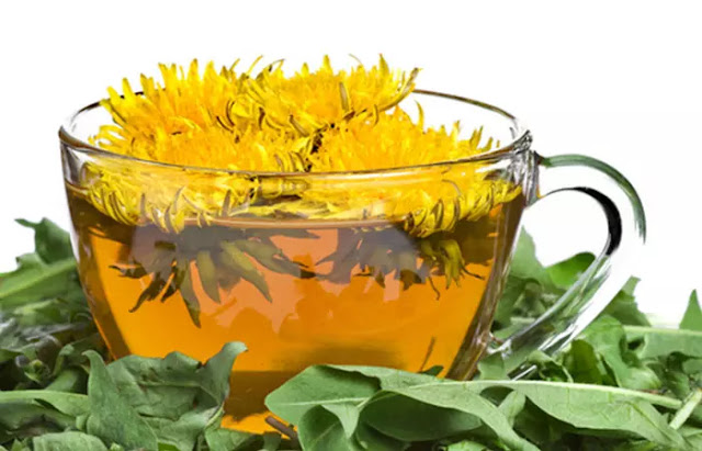 Powerful Herbs For Weight Loss