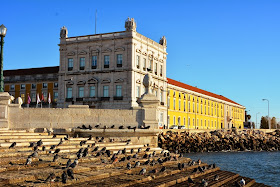 Praça do Comércio, Lisbon seagull