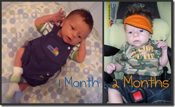 1&2 Months