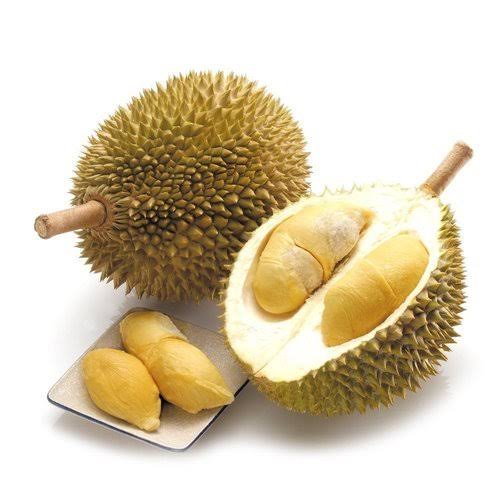 குழந்தை வரத்திற்கு துரியன் பழம் Durian fruit benefits in tamil