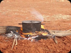 camp_fire_cooking