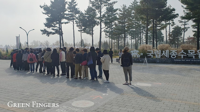 Visitors browsing rare and exotic houseplants at the Sejong Arboretum Plant Festival