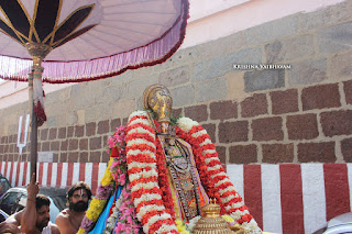 Ippasi Thirumoolam,Sattrumurai, Manavala Maamunigal,Purappadu,2016, Video, Divya Prabhandam,Triplicane,Thiruvallikeni,Utsavam,