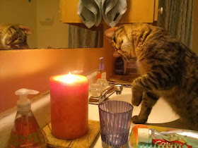 Funny cats - part 87 (40 pics + 10 gifs), cat fascinates by fire on candle