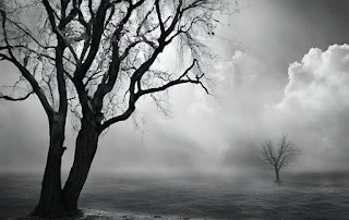 Black and White Photography