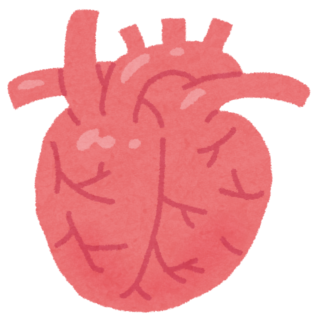心臓のイラスト 人体 かわいいフリー素材集 いらすとや