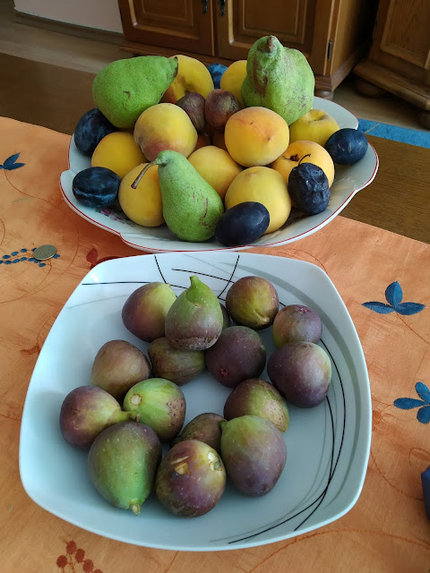 Fruit, Yambol, Garden,