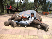 Mahout Mahdian Nasution