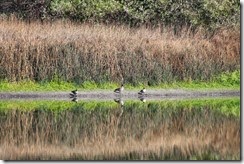 IMG_3388