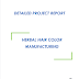 Project Report on Herbal Hair Color Manufacturing