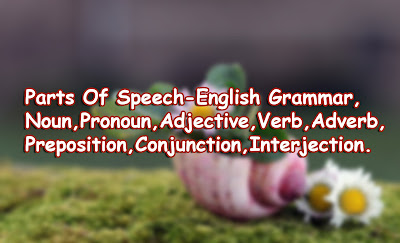 Parts of Speech  - English Grammar (ইংরেজি ব্যাকরণ) , Parts of Speech, Noun, Pronoun, Adjective, Verb, Adverb, Preposition, Conjunction, Interjection - English Grammar (ইংরেজি ব্যাকরণ)