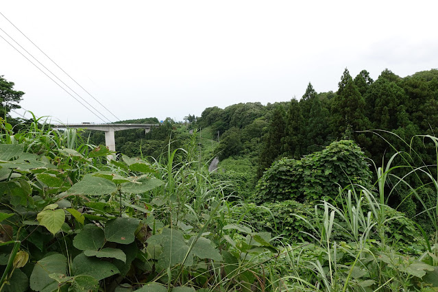 小林橋から上がってきた道から