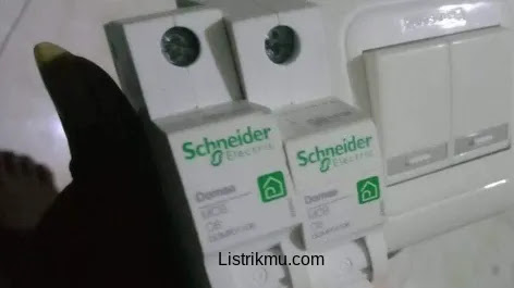 MCB Schneider 6A
