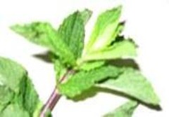 clip_image002